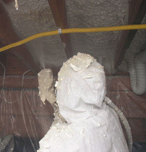 reno NV crawl space insulation
