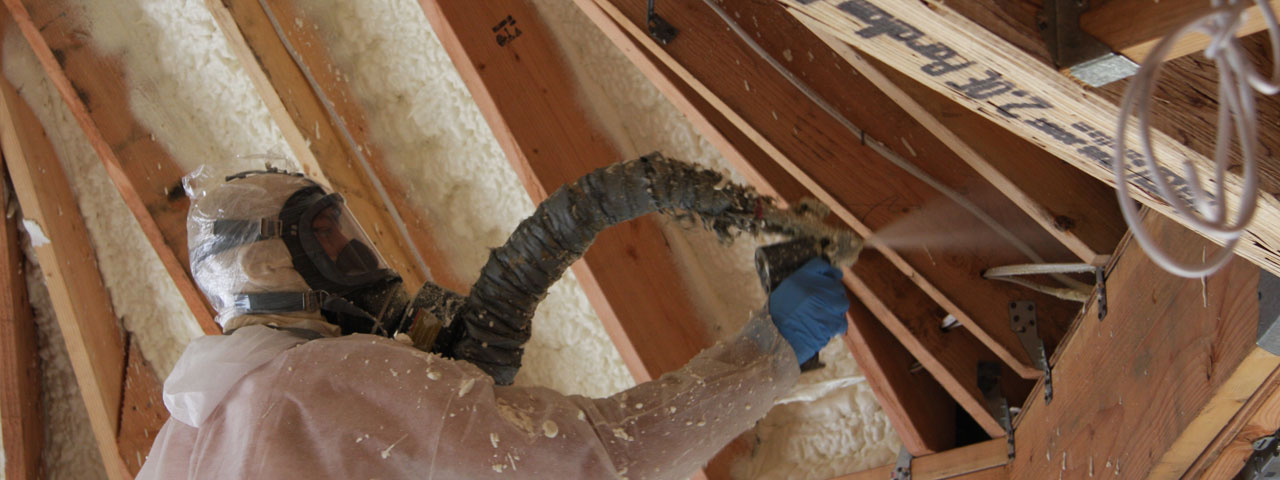 reno Nevada Attic Insulation Spray Foam